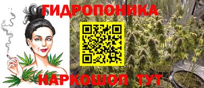 a pvp Гусь-Хрустальный