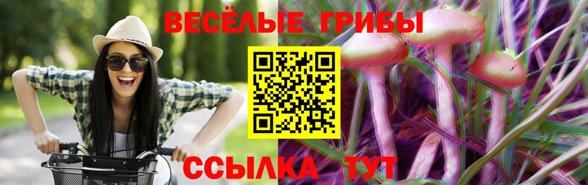 Псилоцибиновые грибы Cubensis  Нововоронеж 