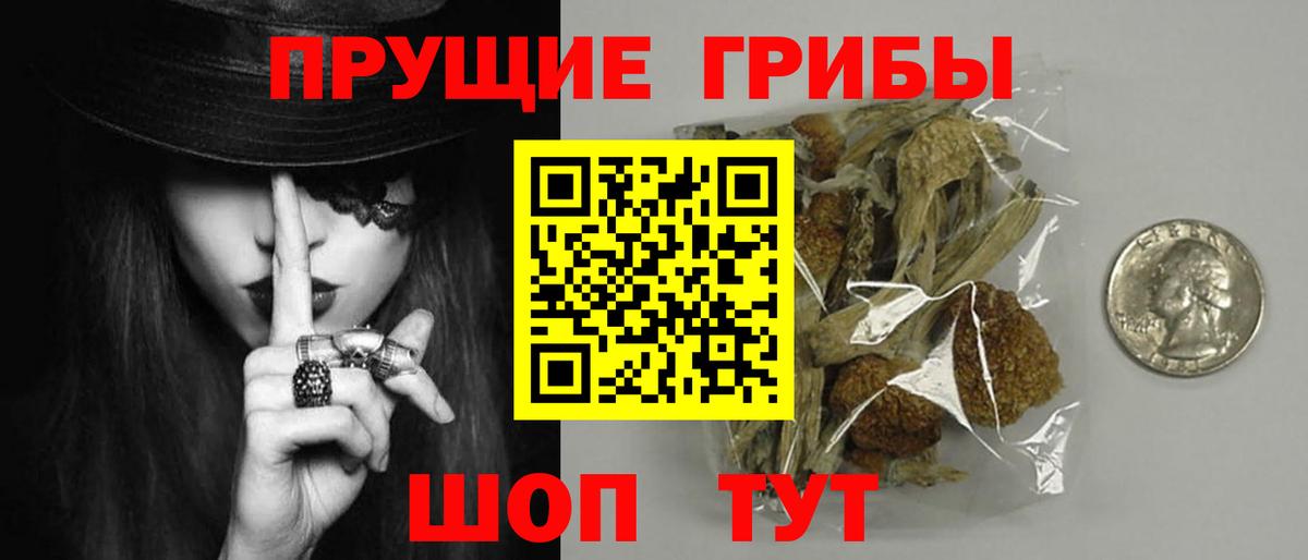 закладка  Псилоцибиновые грибы GOLDEN TEACHER  Вход с VPN  Нововоронеж 